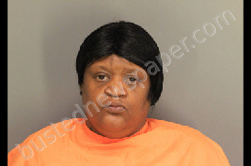 JOHNSON, KIMBERLY DENISE #, Florence County, South Carolina - 2019-06-28 18:50:00