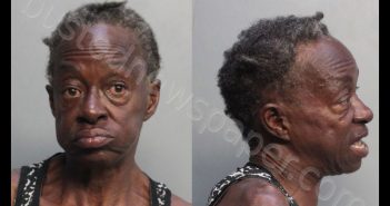 TAYLOR, ELMINA MARIA | 2019-06-28 20:10:00 Miami-Dade County, Florida Booking