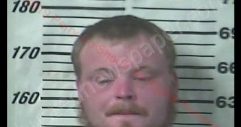 JAMES LUCAS WHITE | 2019-06-29 14:22:00 Perry County, Mississippi Booking