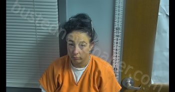 JESSICA LYNN STARKEY | 2019-06-29 01:05:00 Ottawa County, Ohio Booking