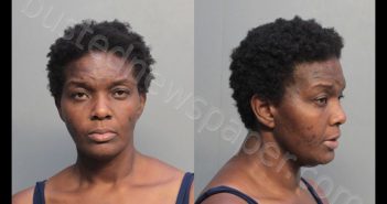 ALLEN, STACY TERESE | 2019-06-29 23:59:00 Miami-Dade County, Florida Booking