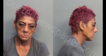 WALL, SONIA PATRICIA | 2019-06-29 21:27:00 Miami-Dade County, Florida Booking