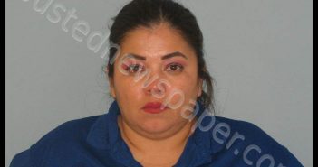 GUAJARDO, DIANA YADINA | 2019-06-29 Andrews County, Texas Booking