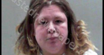 DENNIS, KRISTA DAWN | 2019-06-29 19:23:00 Ohio County, West Virginia Booking
