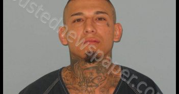 COLIN, JOSUE DAVID | 2019-06-29 Andrews County, Texas Booking