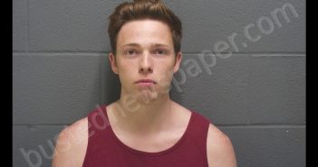 DYLAN LEE MARTIN | 2019-06-30 02:10:00 Montgomery County, Indiana Booking