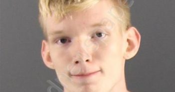 LARGE, JONATHON DAVID | 2019-06-30 Peoria County, Illinois Booking