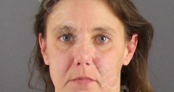 SUELTZ, TARA LYNN | 2019-06-30 Peoria County, Illinois Booking