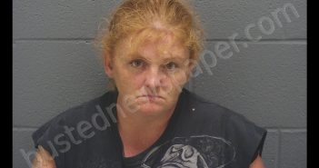 TINA M PITMAN | 2019-06-30 03:13:00 Montgomery County, Indiana Booking