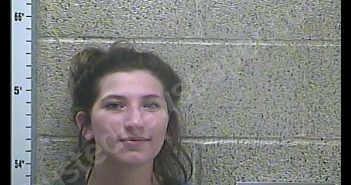 <B>BROOK</B> <B>T</B> <B>GREEN</B> #, Henderson County, Kentucky - 2019-07-01 20:11:00