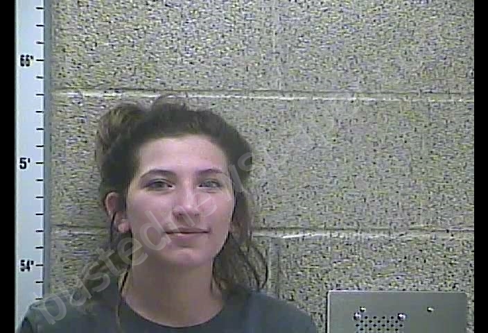 BROOK T GREEN #, Henderson County, Kentucky - 2019-07-01 20:11:00
