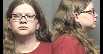 WILLIAMS,ELIZABETH ASHLEY | 2019-07-02 15:55:00 Saline County, Kansas Booking