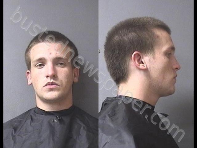 EVANS, DYLAN MATTHEW #, Madison County, Indiana - 2019-07-02 04:55:00