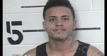 VELAQUEZ-SUAREZ, ROGER IVAN | 2019-07-02 18:24:00 Chase County, Kansas Booking