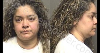 OCHANDA,ALEJANDRINA | 2019-07-03 02:14:00 Saline County, Kansas Booking
