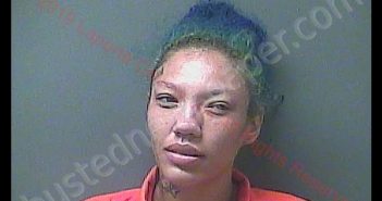 CHERITA A WRIGHT | 2019-07-04 21:39:00 Laporte County, Indiana, La Porte County, Indiana Booking