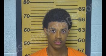 BRIAN MONTRELL GARRETT | 2019-07-04 21:57:00 Ottawa County, Ohio Booking