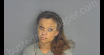 <B>KRISTI</B> <B>RENEE</B> <B>CONLON</B> #, Greene County, Missouri - 2019-07-04 14:55:00