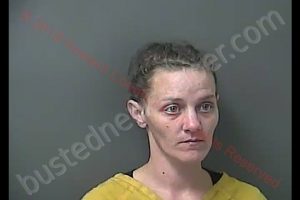 AMANDA KATHRYN HATTEN | 2019-07-05 11:40:32 Howard County, Indiana Booking