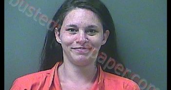 NANCY N BROWN | 2019-07-05 10:03:00 Laporte County, Indiana, La Porte County, Indiana Booking