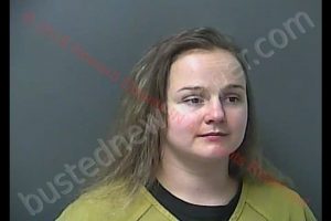 MELISSA RENEE MOSS | 2019-07-05 11:25:58 Howard County, Indiana Booking