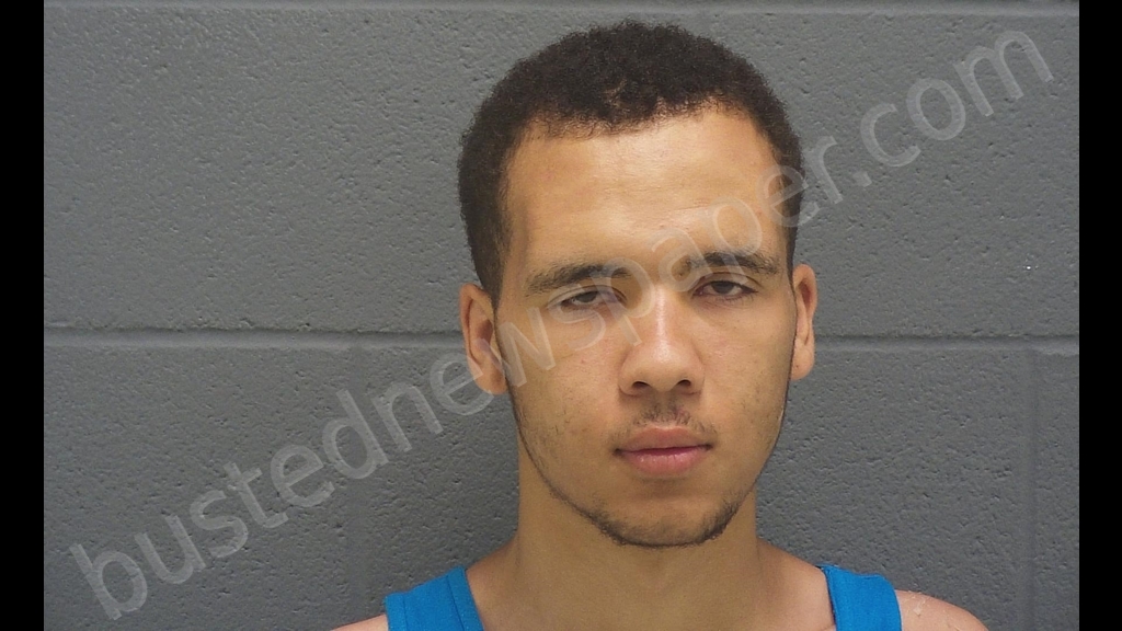 ALEX JORDON LYONS #, Montgomery County, Indiana - 2019-07-05 15:31:00