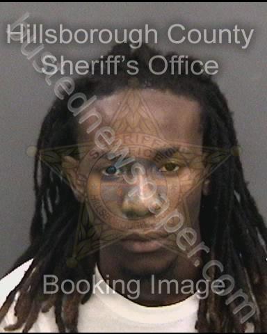 TURNER,RONNIE JR #, Hillsborough County, Florida - 2019-07-06 00:36:00