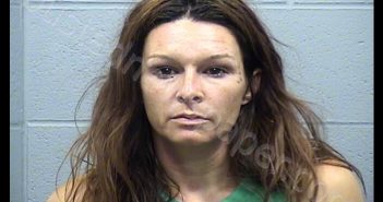 TAYLOR, TANYA MARIE | 2019-07-06 01:26:00 Harvey County, Kansas Booking