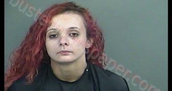 JENNIFER DEVAN STONE | 2019-07-06 22:02:00 Anderson County, South Carolina Booking