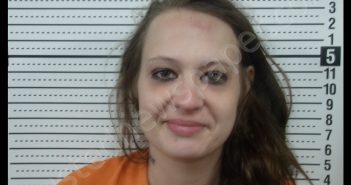CHRISTY M HUGHES | 2019-07-06 18:06:00 Scott County, Missouri Booking