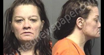 CERVENE,JEANETTE MARIE | 2019-07-06 19:29:00 Saline County, Kansas Booking