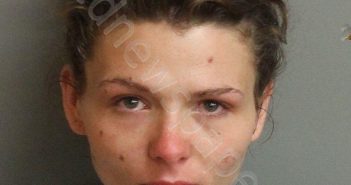 DAILEY- MANNING, REBECCA ANN | 2019-07-06 15:58:00 Jefferson County, Alabama Booking