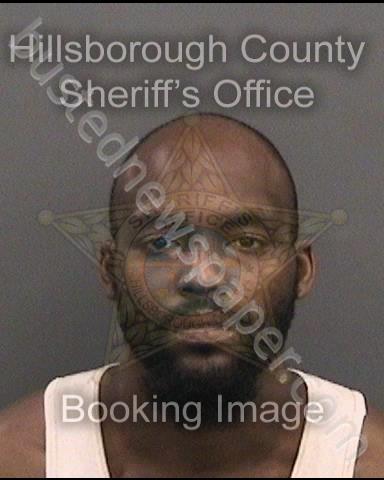 NESBITT,CHARLES #, Hillsborough County, Florida - 2019-07-06 00:30:00