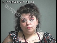 BREHM ALEXIS MARIAH | 2019-07-06 Sandusky County, Ohio Booking