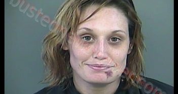 ROBIN NICOLE SAXON | 2019-07-07 11:40:00 Anderson County, South Carolina Booking
