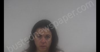 ANDREA DURR | 2019-07-07 02:45:00 Western Tidewater, Virginia Booking