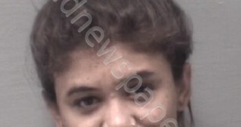 POISSON, GABRIELLE | 2019-07-07 New Hanover County, North Carolina Booking