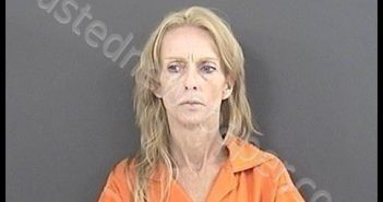 PHOENIX, KELLY MCGINNIS | 2019-07-07 19:00:00 Roanoke County, Virginia Booking