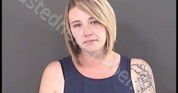 WILSON, BOBBIJEAN ANGELYNN | 2019-07-07 00:11:00 Roanoke County, Virginia Booking