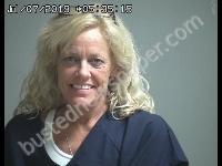 ADAMS LYNN M | 2019-07-07 Sandusky County, Ohio Booking
