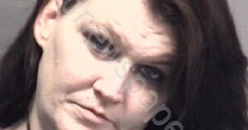 BECKWORTH, BRANDI LEIGH | 2019-07-08 New Hanover County, North Carolina Booking