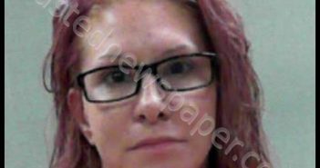 SCHAFFER, HEATHER RENEE | 2019-07-08 20:45:00 Ohio County, West Virginia Booking