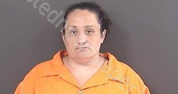 HAWKINS, HEATHER VICTORIA | 2019-07-08 14:09:00 Roanoke County, Virginia Booking