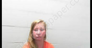 WATSON, BRITTANY NICOLE | 2019-07-08 16:30:00 Preston County, West Virginia Booking
