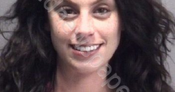 PALMANO, ASHLEY | 2019-07-08 New Hanover County, North Carolina Booking