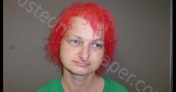 <B>SARAH</B> <B>LOUISE</B> <B>ANTLE</B> #, Randolph County, Missouri - 2019-07-09 01:48:00