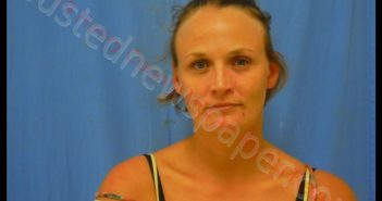ASHLEY NICHOLE OSBORN | 2019-07-09 00:52:00 Henry County, Missouri Booking