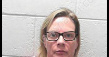 HINDS, KRISTI JOLYNN | 2019-07-10 11:35:00 Preston County, West Virginia Booking