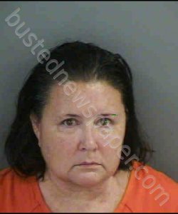 WITT,KAREN CHRISTINE | 2019-07-10 Collier County, Florida Booking