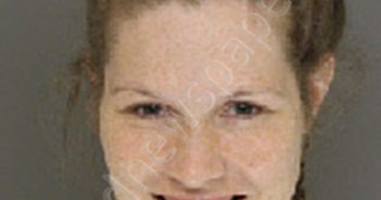 SULLIVAN, EMILY MICHEL | 2019-07-10 16:39:00 Moore County, North Carolina Booking